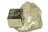 Two Natural Pyrite Cubes In Rock - Navajun, Spain #304051-1